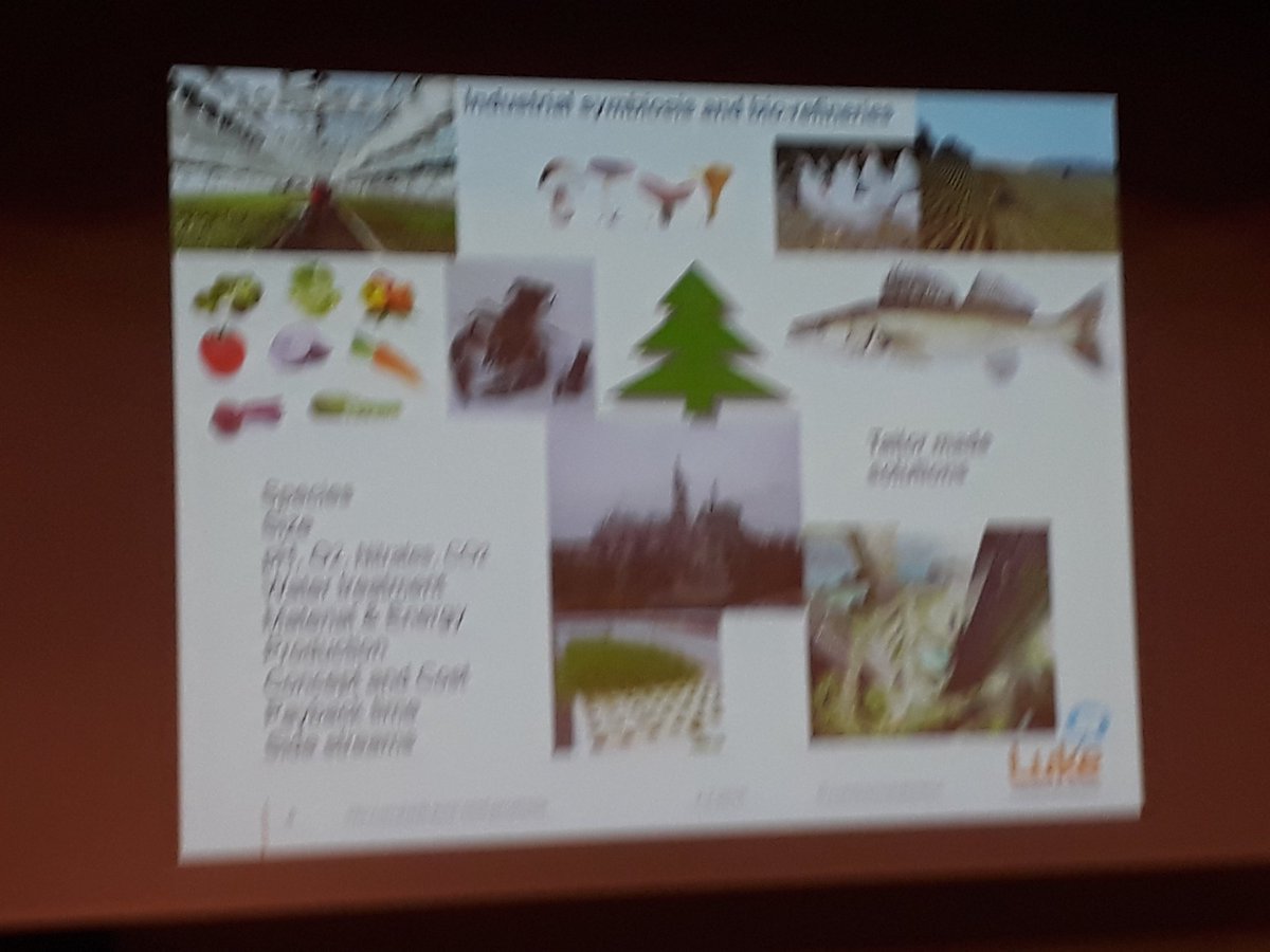 KohlJohanna1's tweet image. Aquaponics- rethink fishfarming #LukeLEADS @LukeFinland @Jyri Maunuksela