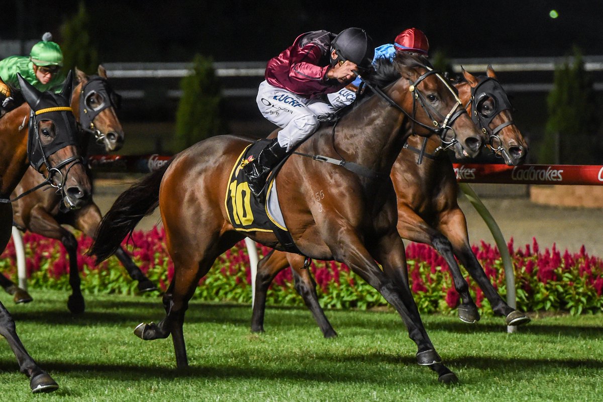 Moonee Valley Racing Club tweet media