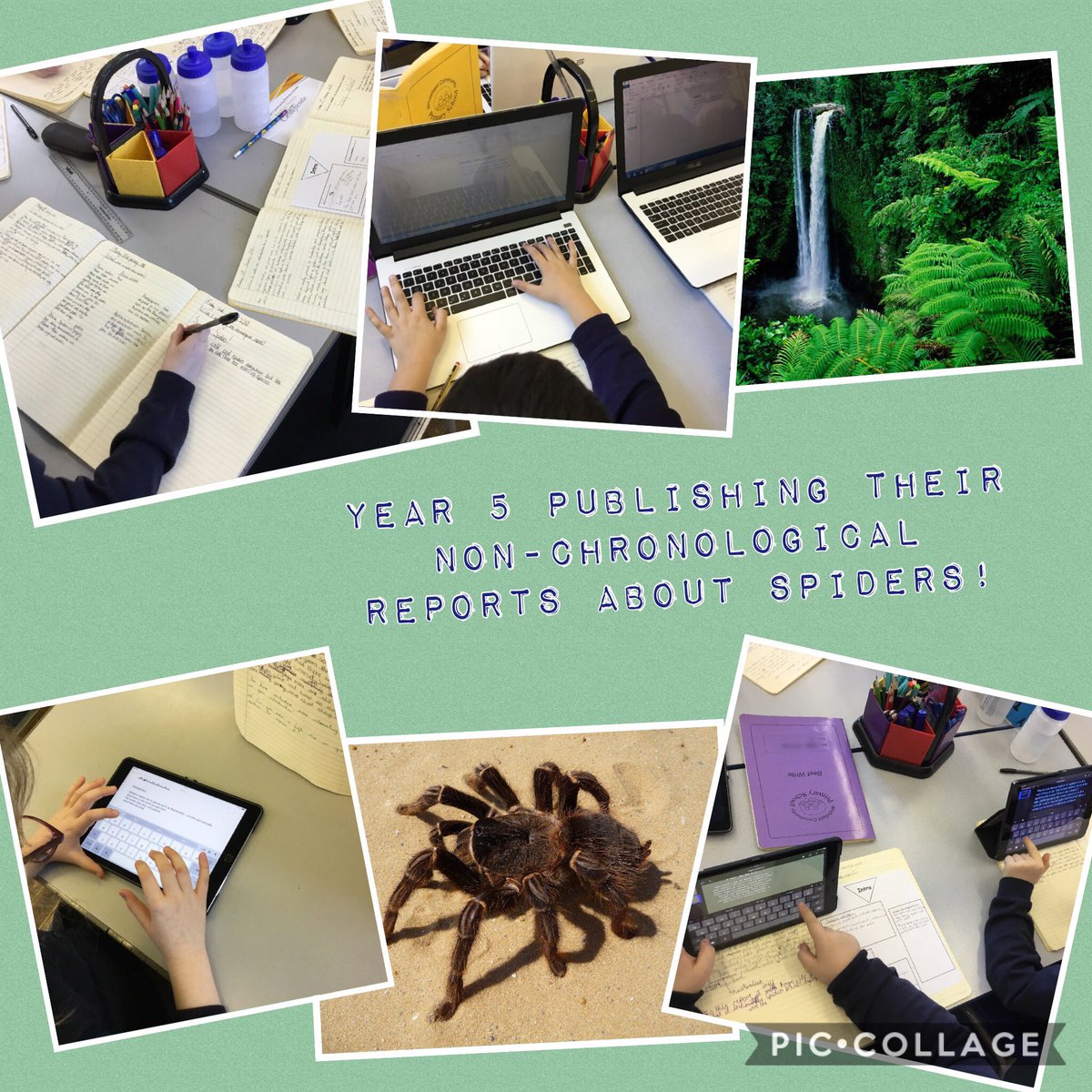 wcp_school's tweet photo. #Year5 #BestWrite #Keynote #Pages #Publisher #appleteacher https://t.co/3FYKKvDxRn