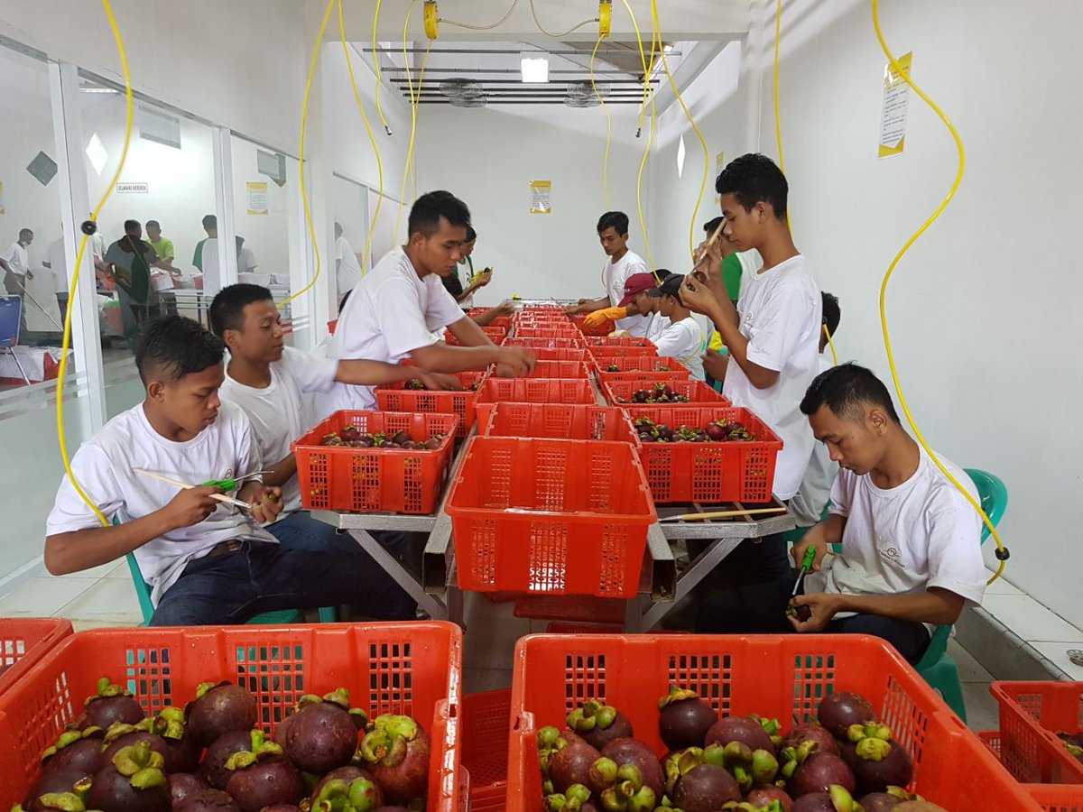 Perani Manggis di desa Cibolang, Sukabumi | Sumber: Twitter