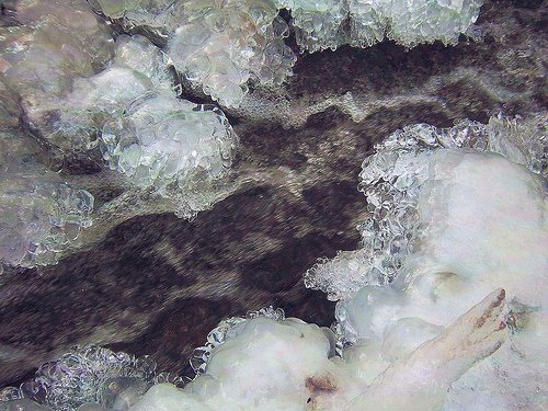 SceneryPicture's tweet photo. creekside jewels || #landscape #nature #photography #scenery || https://t.co/CEx4ab9ZAX || https://t.co/I5F8yy72YI