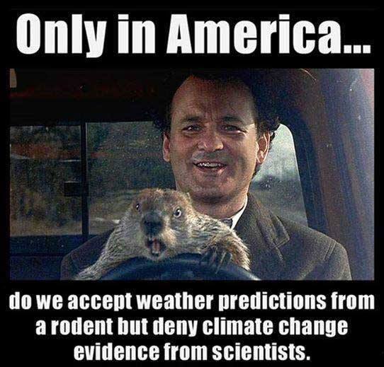 Happy Groundhog Day DVBwkyxX0AA6pw3