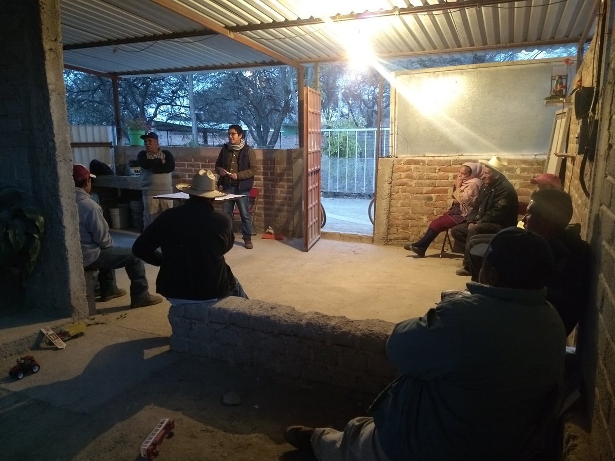 GenMonzon's tweet photo. Construyendo planes de acción, para el cultivo de la alfalfa, dando pie a acciones en mira a la asociatividad #ExtensionismoGto @DesdeGto #Soyextensionista https://t.co/RPJZN6QBp4