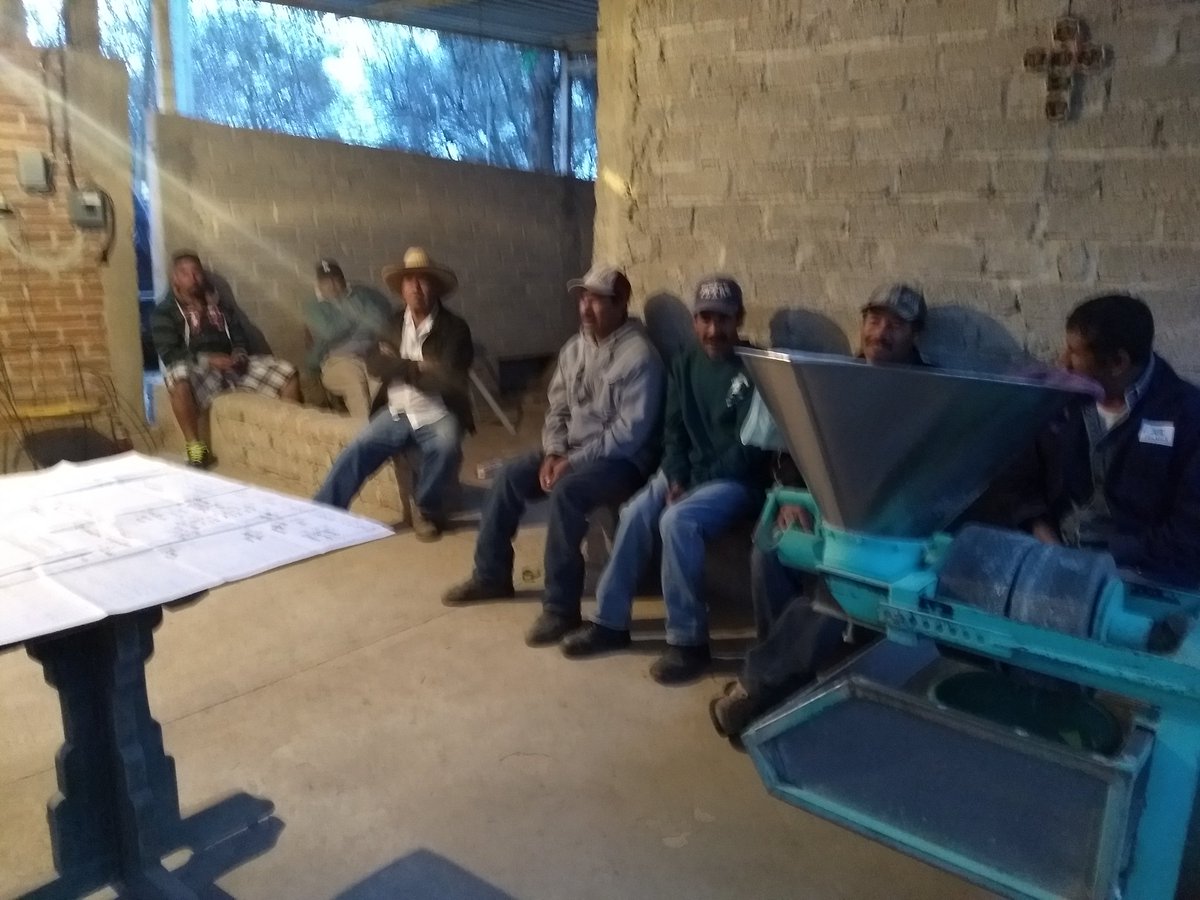 GenMonzon's tweet photo. Construyendo planes de acción, para el cultivo de la alfalfa, dando pie a acciones en mira a la asociatividad #ExtensionismoGto @DesdeGto #Soyextensionista https://t.co/RPJZN6QBp4