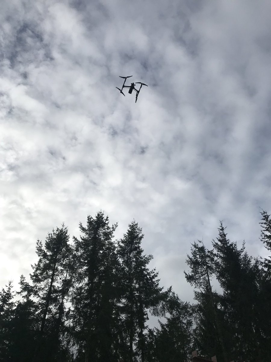 Treemetrics's tweet photo. @Treemetrics #Forest mapping with @DJIGlobal drone in @Blarney_Castle estate today. Amazing automation to create accurate photo maps. @Treemetrics has developed software to count and grade the trees. #Forestry4.0 #IoTrees https://t.co/AshnLnHHWa