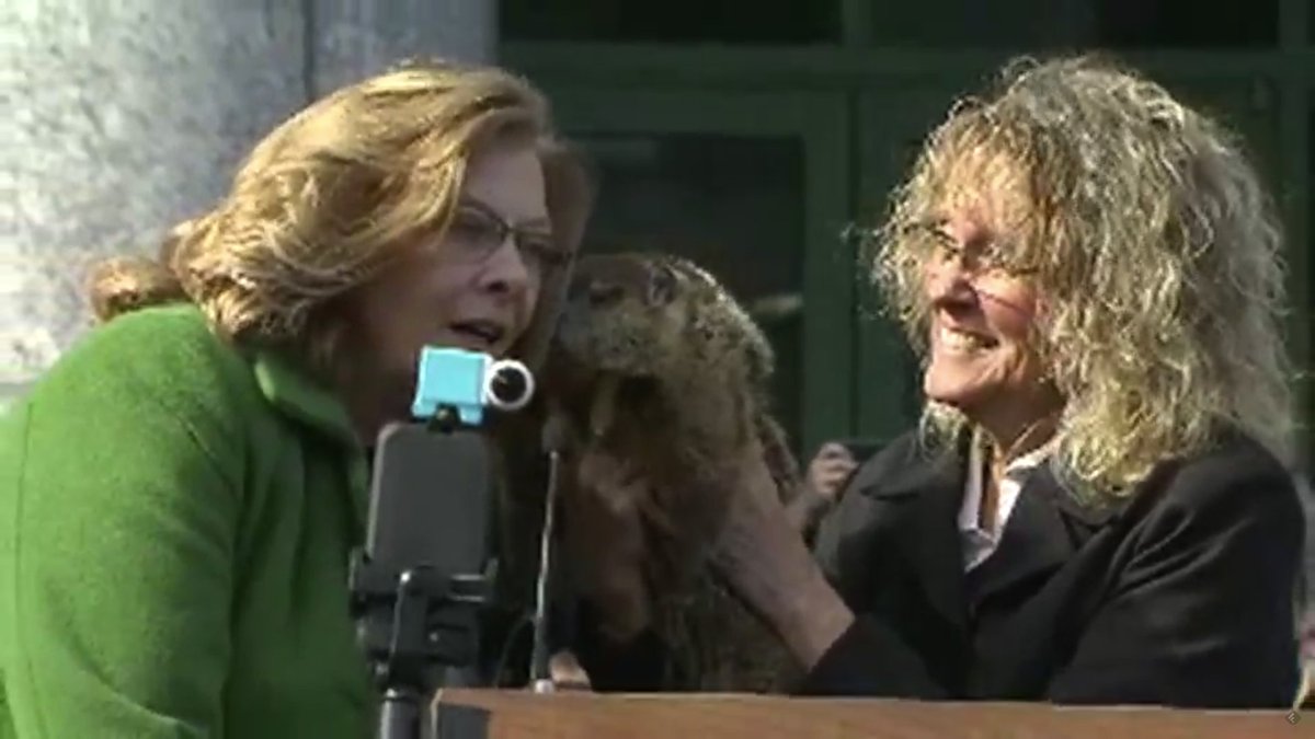 Behold, the groundhog!  It's bright and sunny now, but I got up super early this morning and made my forecast. It was right cloudy then... no shadow... early spring!  #takeittothebank