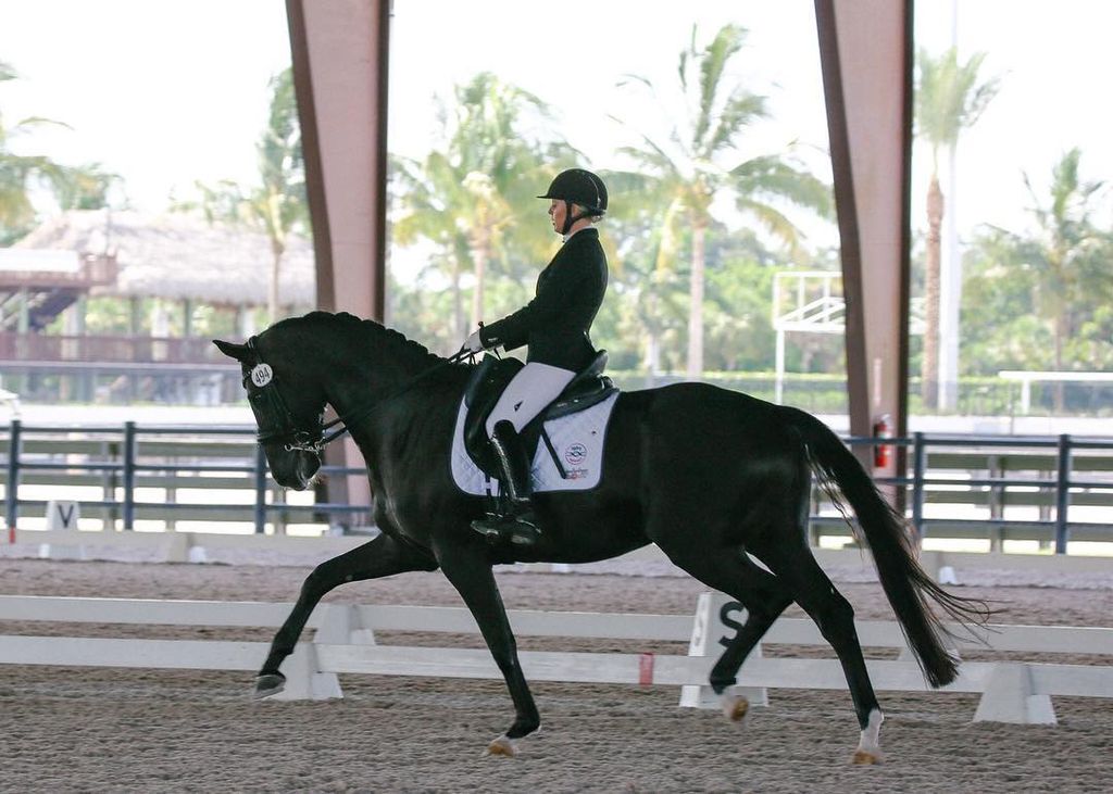 OgilvyEq's tweet image. {{dream big | work hard | stay focused}} 

PC @southernrosedressage
