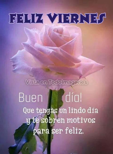Ji120Jose's tweet photo. https://t.co/rQ1RVkuEGt