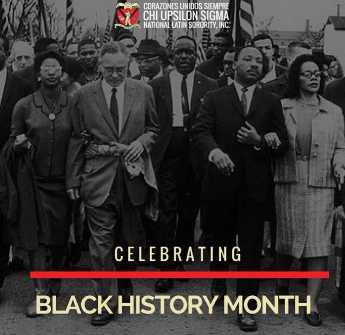 Beta Mu Cussies tweet media