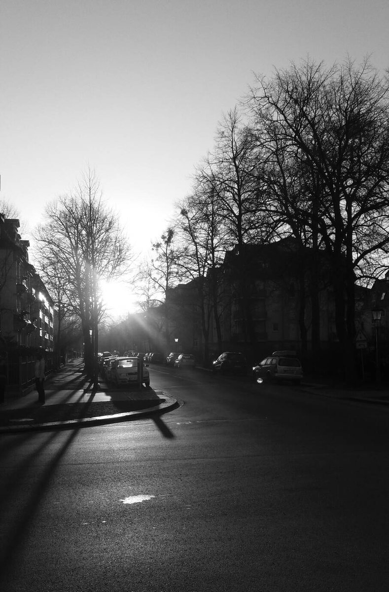 SuperWoman_SWDD's tweet photo. #20180202 #BN #BW #fotodiario #SWzen #herecomesthesun #díasmáslargos #infecciones #winter #light #pedacitosdeviernes #locosdelclic https://t.co/24UmfWg2IK