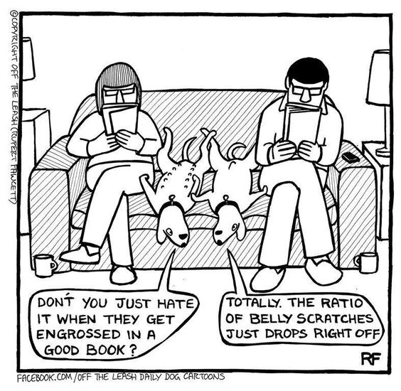 Sorry puppers! Maybe we should listen to more audiobooks!