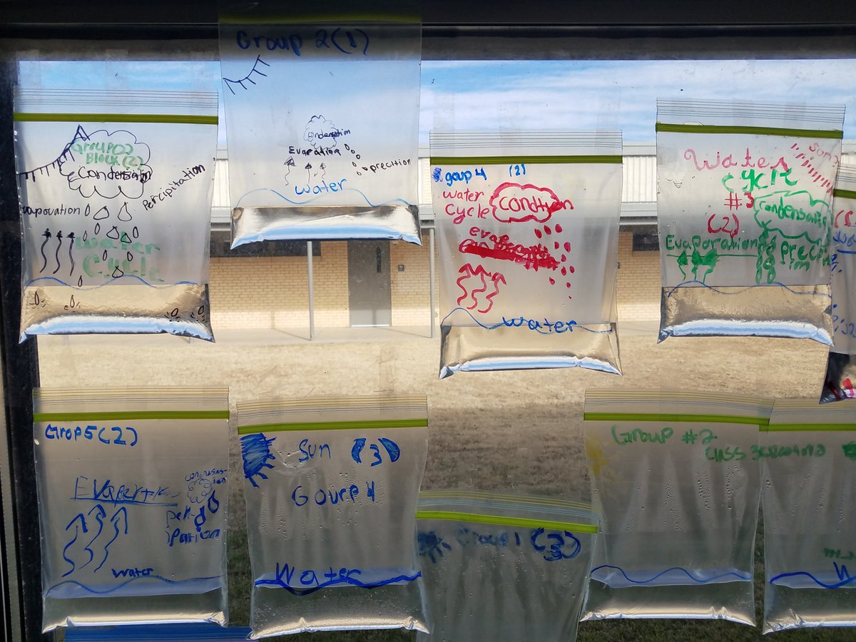 banda_sv's tweet photo. Mrs. Ortiz's 4th grade class brings the water cycle to life with tangible examples. https://t.co/OK524iUuIu