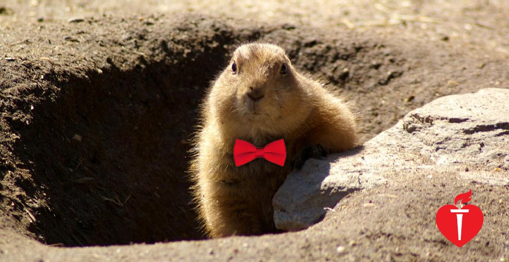 American Heart Association tweet media