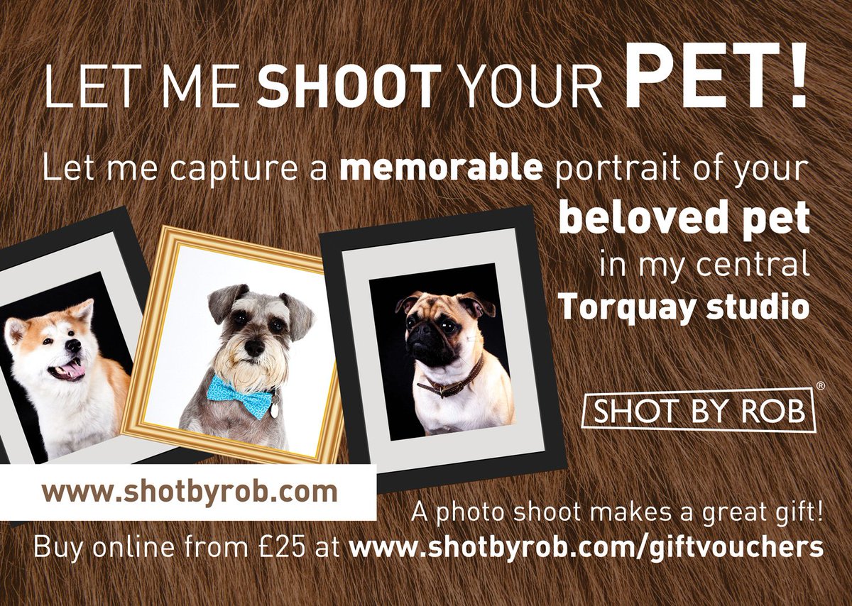 shotbyrob's tweet photo. Let me shoot your #pet! #Portrait sittings in my central #Torquay studio from £25. #GiftVouchers available from https://t.co/nVkRY9ItPV #photography #petphotography #studiophotography #Torbay #Devon #photographer #BoostTorbay #giftdeas #shotbyrob https://t.co/HMeJ3LTnxx
