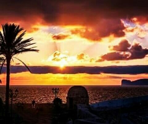 sardegna_di's tweet photo. Voglio augurarvi  una  buona serata  con  una  delle  meraviglie di .#Alghero https://t.co/E7fKC8ebZa