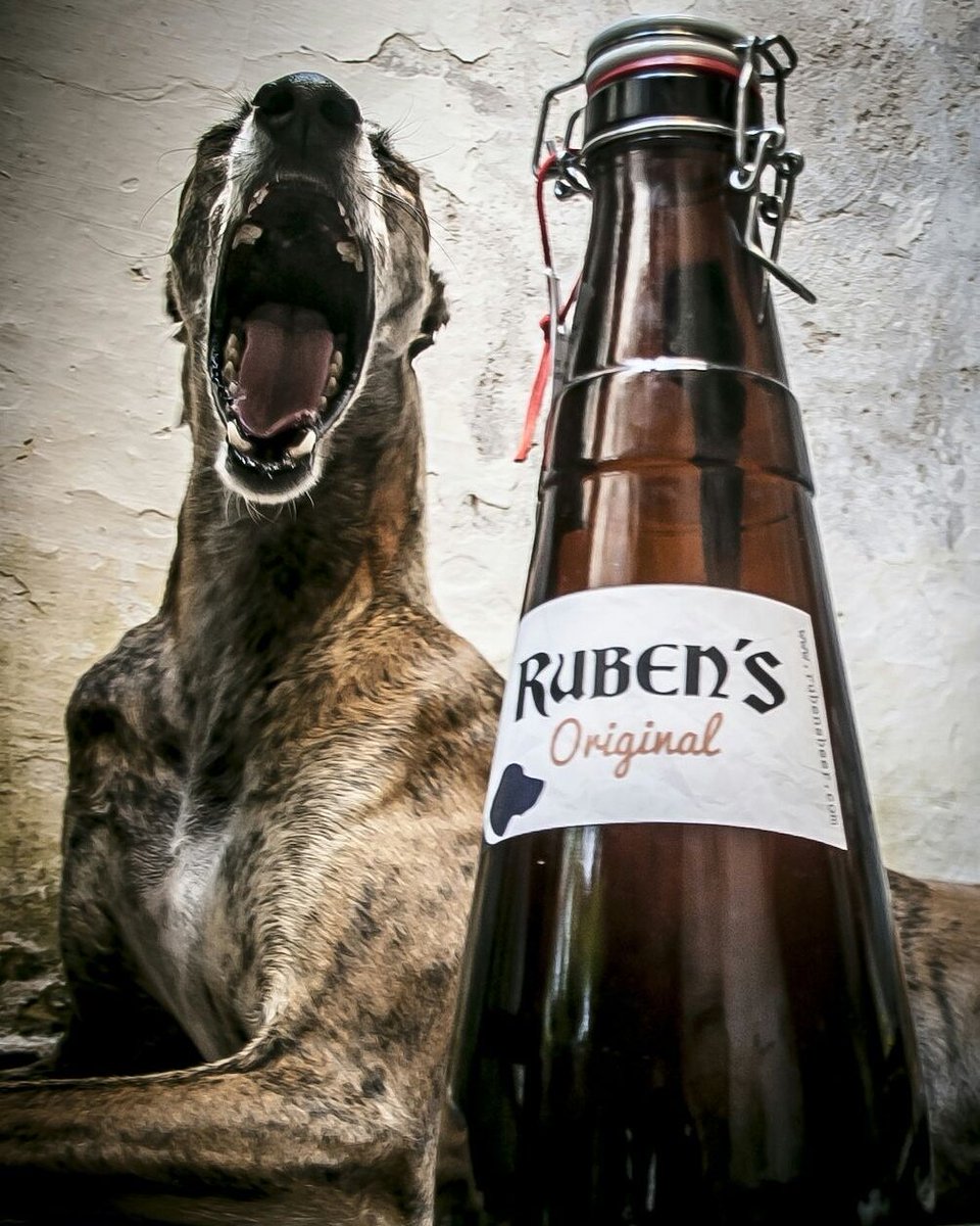 Si nuestra Bamba y Ruben's se unen, algo traman...
#beerstagram #beer #beerporn #craftbeerlover #craftbeer #drinklocal #drinkcraft #ryelagerbeer #cervezaartesanal #beergasm #beergeek #hoppylager #lager #biere #birra
