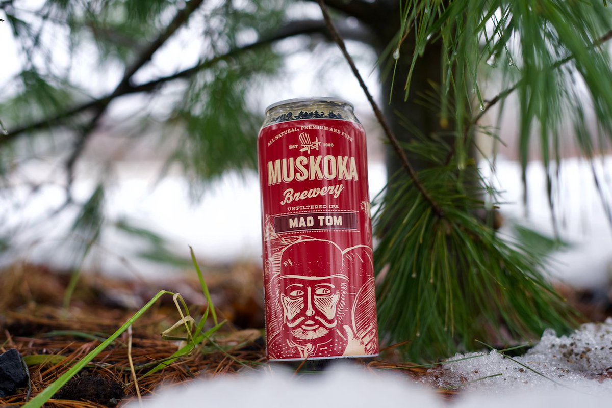MuskokaBrewery's tweet photo. If #MadTom sees his shadow today, we're in for a long and bitter winter. https://t.co/Xdmw3GObQv