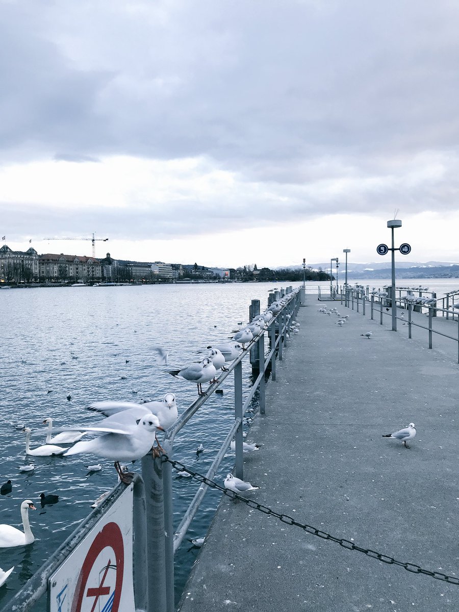 SwissTravels's tweet photo. Today, we founded our company based in beautiful Zurich - Zenspire Travel Ltd. - with our outstanding brand Swiss Travels 🍾🥂🇨🇭! We met those lovely tourists and they told us how much they actually like Switzerland 😊. https://t.co/fuMc6bBhvA