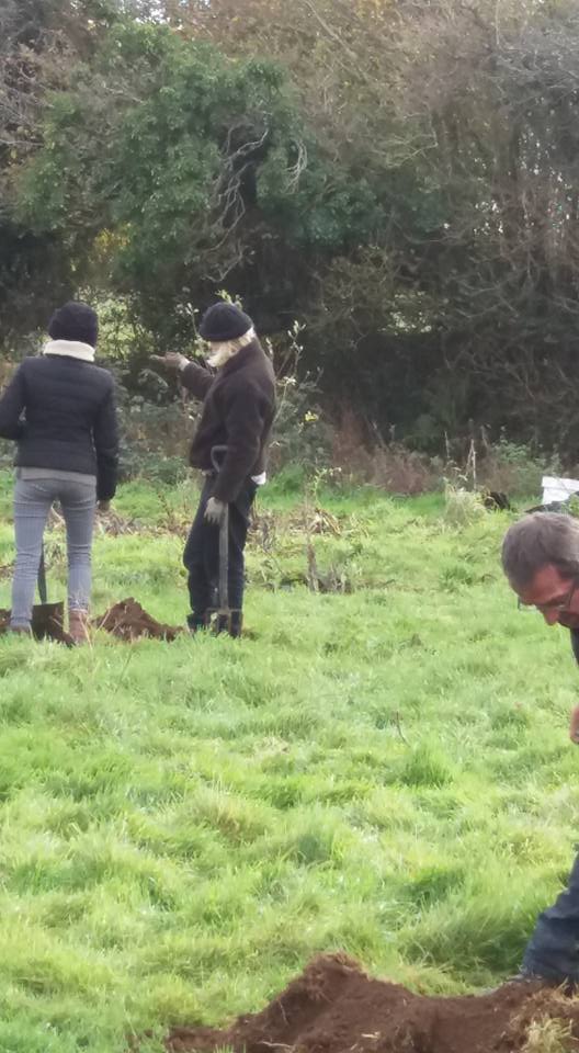 CornishBees's tweet photo. Harriet and Georgia planning the planting of their trees in the Native Trees Orchard. https://t.co/23XTPmQGou