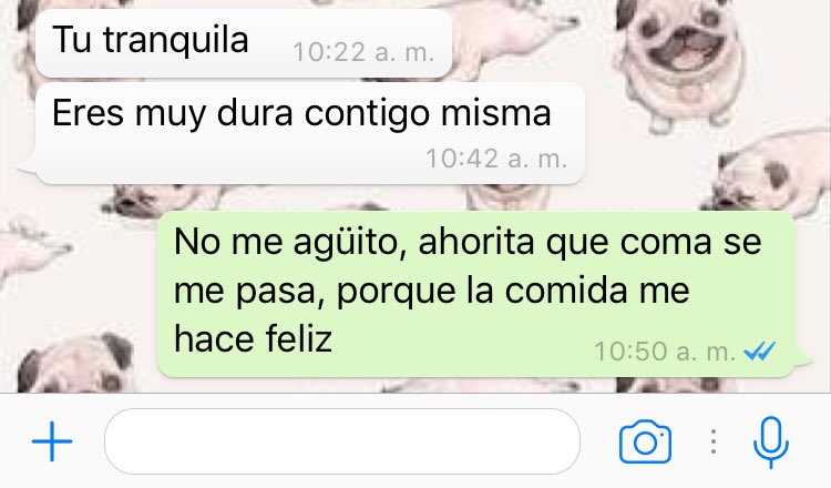 Yabhmora's tweet photo. Yo resolviendo mis problemas😇🐷 https://t.co/ndiP570jw9
