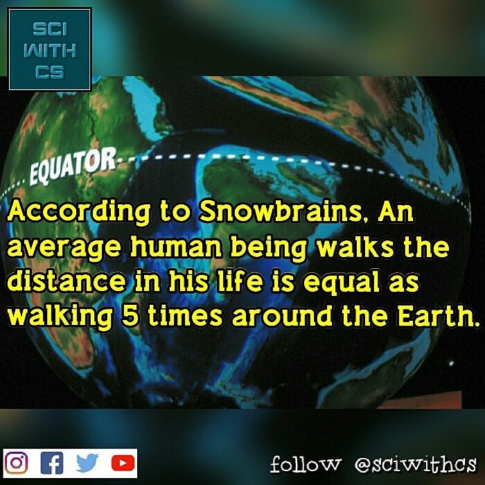 sciwithcs's tweet photo. Follow @sciwithcs
#humanfacts #humanbeing #walking #long #earth #circumference #humanwalk #travelaroundtheworld https://t.co/t6mf4m94p6