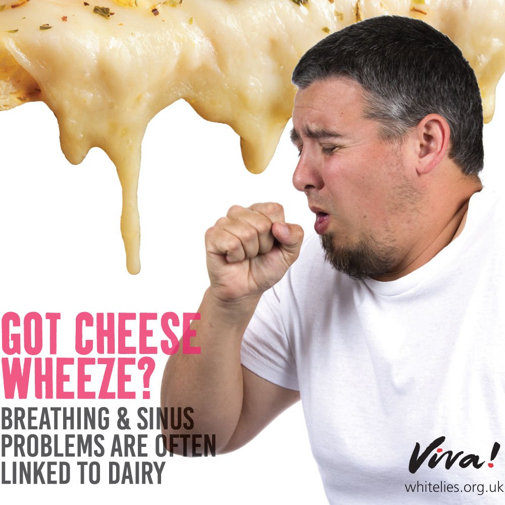 vivacampaigns's tweet photo. Dairy products are no health foods! Many people experience much less mucus, easier breathing and even relief from asthma when they ditch dairy! What’s your experience?
More about milk and health: https://t.co/lr6gonZXMn #februdairy #postmilkgeneration #dairyfree https://t.co/9SXZdPrlTH