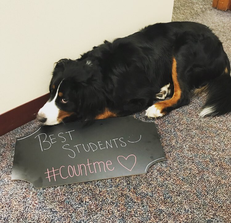 UNDCatholic's tweet photo. What do you love about the Newman Center? #countme #undCatholic https://t.co/Au9qHiQLIA