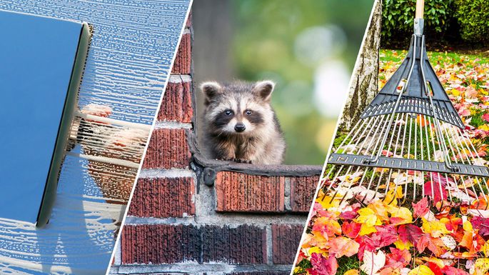 Wilkinson ERA tweet media