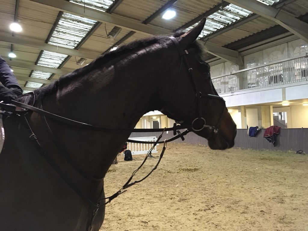 Debbie carpenter tweet media