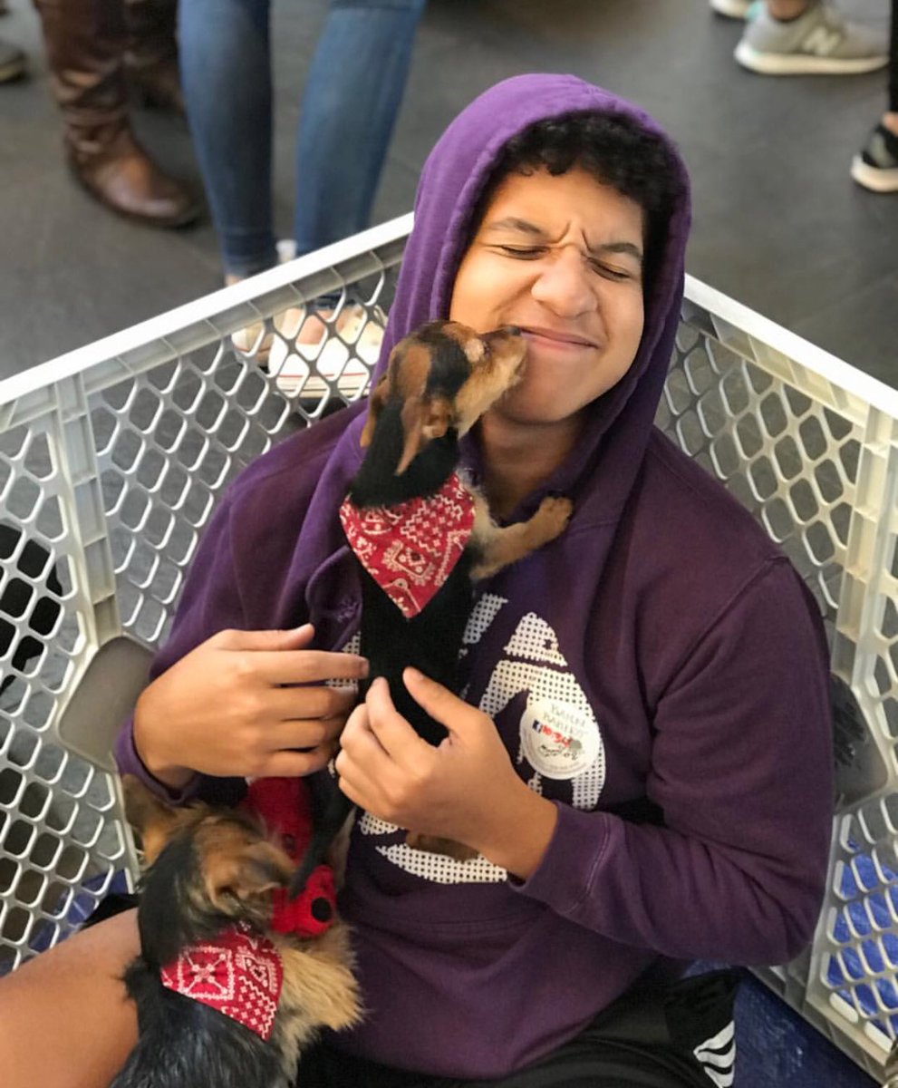 EC_2021's tweet photo. Puppies spreading the Love w/ @jstar_436 during last semesters Barn Babies! @emmanuelcollege #emmanuelgram #emmanuelcollege #loveemmanuel #boston #puppies 💛🐶💙 https://t.co/csf7ius53m