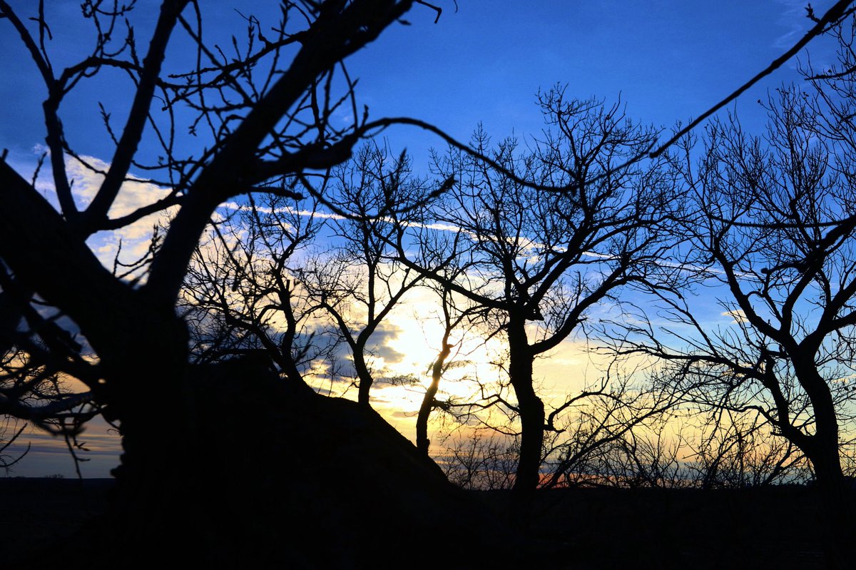 EROutfitters's tweet photo. I know it only ended a month ago but days like today make me miss deer season that much more. Can’t wait for the 2018 season! #eagleranch #kansas #kansashunting #deer #deerhunting #bow #bowhunting #whitetail #whitetailhunting #whitetaildeer #deerseason #missit #treestand https://t.co/4LaEe8M0SW