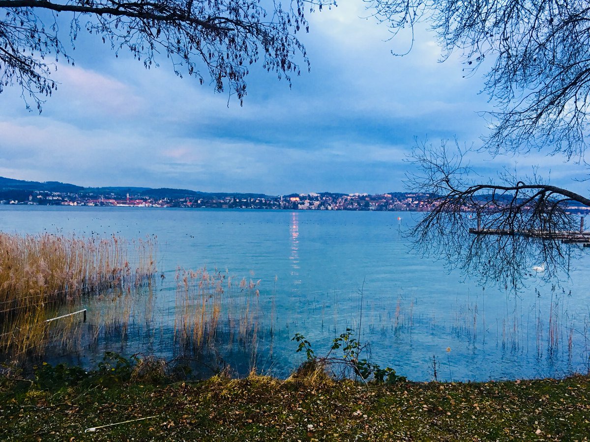 FreyStolzle's tweet photo. #Heimat #bodensee #loveit https://t.co/rz2BFM86Tf