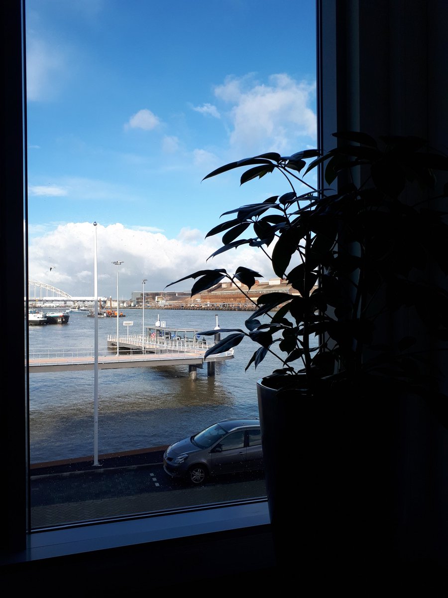 Planten leveren bij de 'overburen' #HIambacht #interieurbeplanting