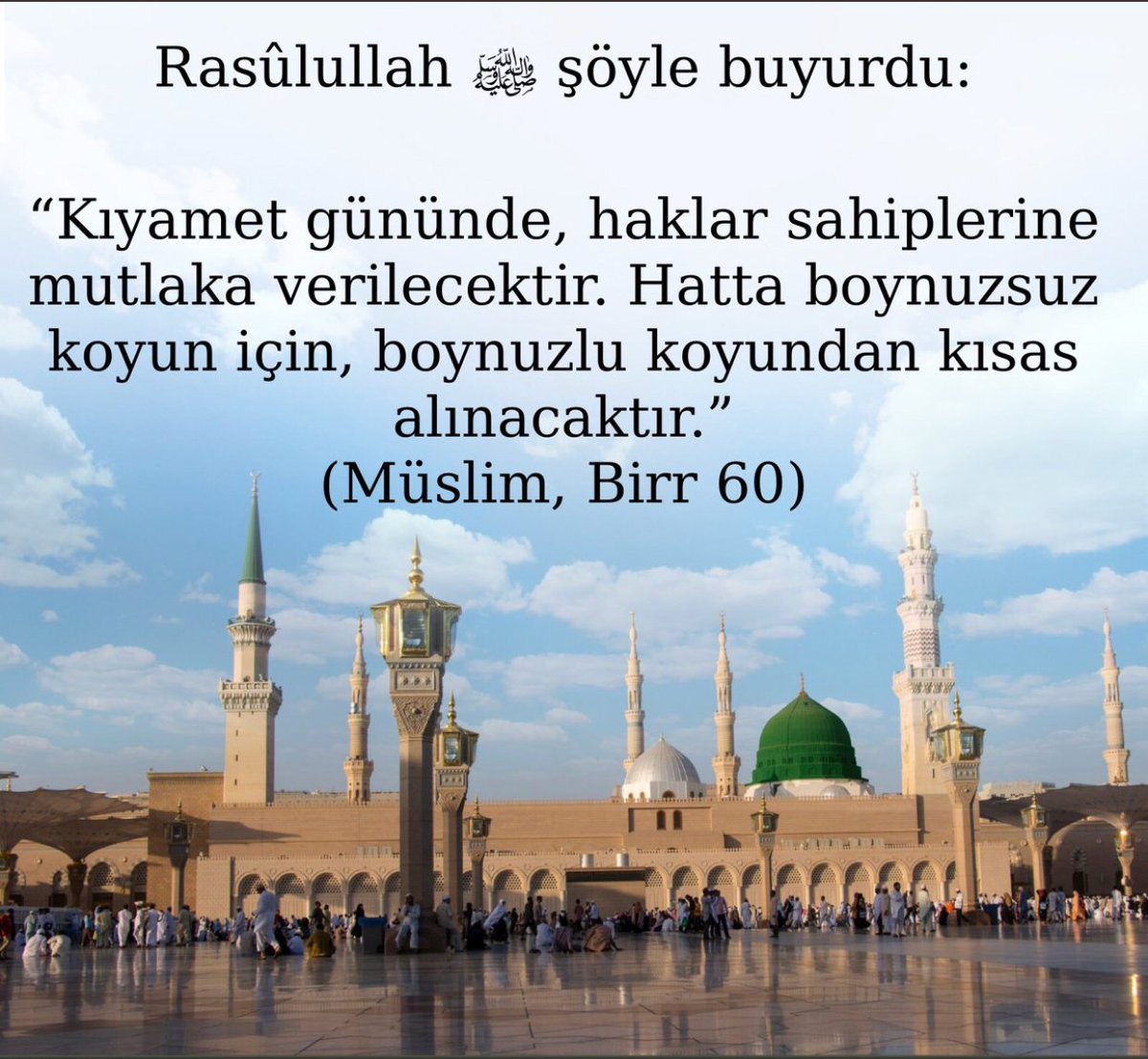 Rasûlullah sallallâhu aleyhi ve sellem şöyle buyurdu: 

“Kıyamet gününde, haklar sahiplerine mutlaka verilecektir. Hatta boynuzsuz koyun için, boynuzlu koyundan kısas alınacaktır.” (Müslim, Birr 60)