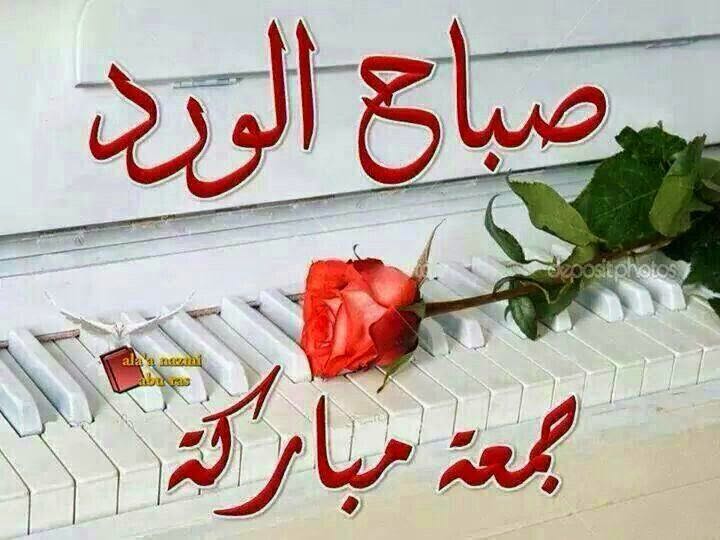 nada63767's tweet photo. جمعه مباركه لا تنسوا قرائت سورة الكهف #يوم_الجمعه https://t.co/WCkFHvHuZr