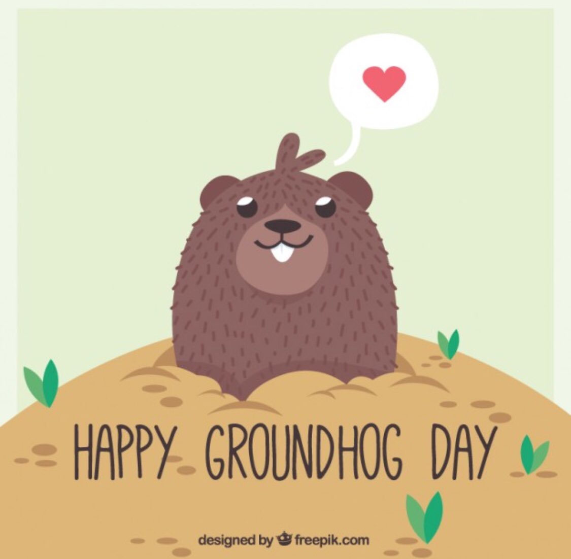 Rpsinc79's tweet photo. #GroundhogDay #6moreweeksofwinter #BlackHistoryMonth #BellLetsTalk #FreakyFriday #CANUCKS #Canada #BuenosDias #WiartonWillie #www.r-psinc.ca https://t.co/EL6yci2kyZ