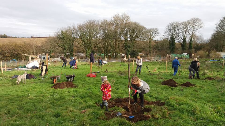 CornishBees's tweet photo. Volunteers celebrating the new small orchard, Native Trees for Native Bees, courtesy of Tesco bags oh help scheme. #bagsofhelpfunding  
@groundworkUK https://t.co/lgkJ0NQ962 https://t.co/tmft2kvS3e