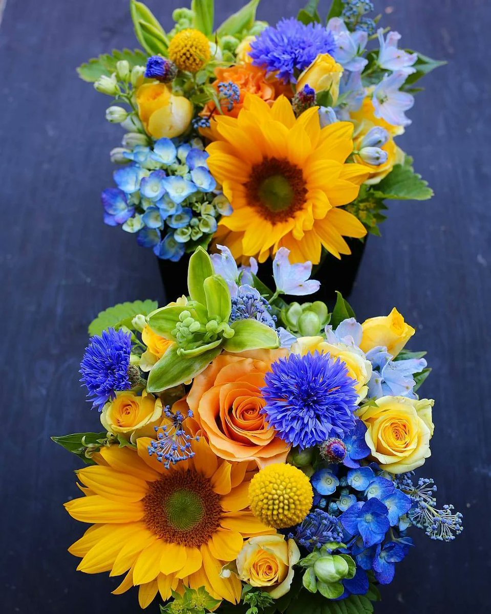 ♡♡Tere♡♡ 📷 tweet media