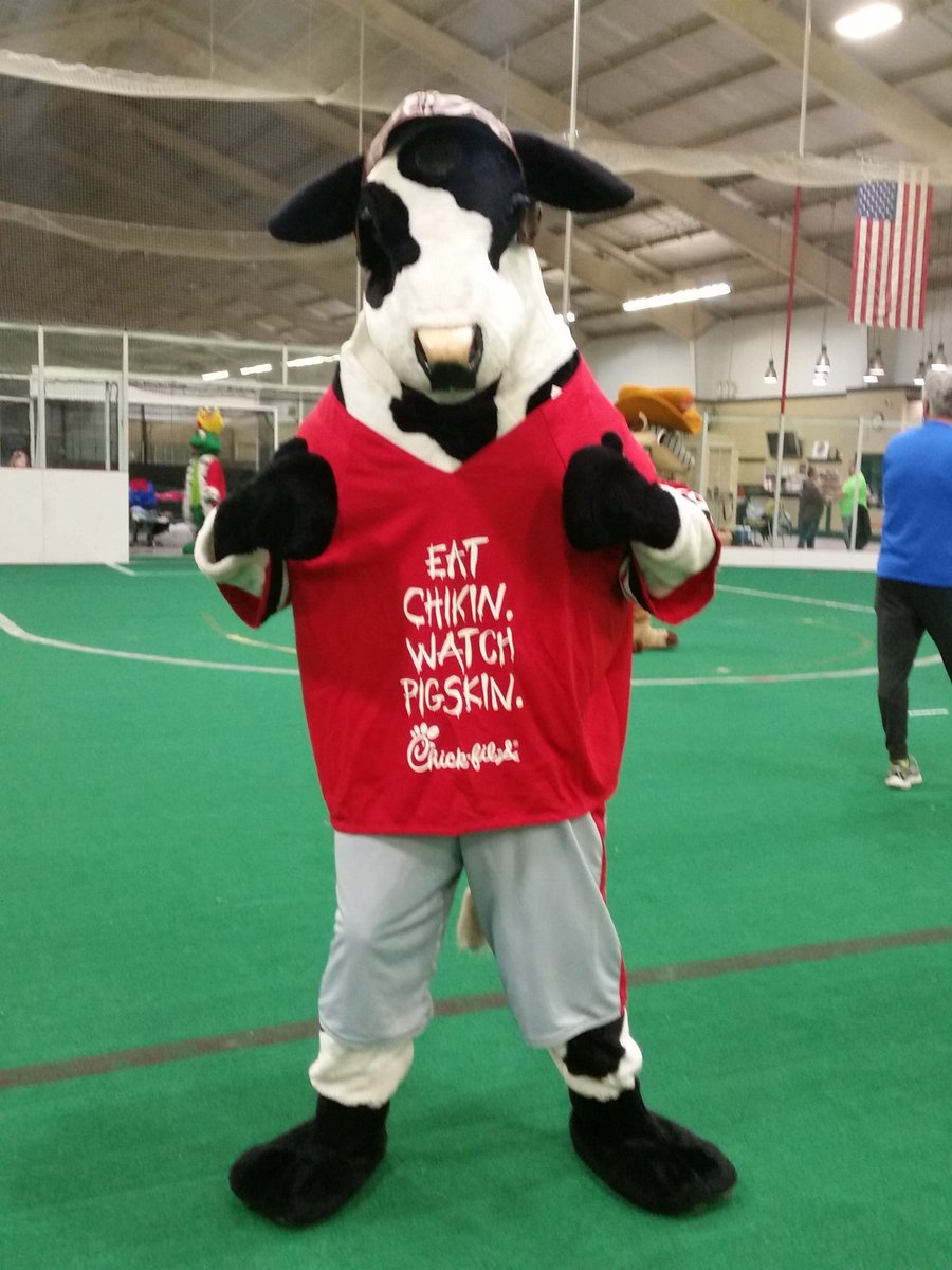 CFALou's tweet photo. Eat Chicken. Watch Pigskin @SRiggsWDRB @KeithKaiserWDRB @WDRBNews #mascotbowl https://t.co/zOKShTzZHi