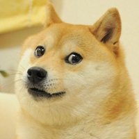 hotep24's tweet photo. doge https://t.co/sybZJfLs9q