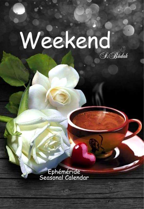 Mary_Zarifah's tweet photo. #Good_morning #Bonjour #Bonne_journée
#Happy_Friday #Happy_day #2February2018
#صباح_الخير🌸🌸 #صباح_السعادة🌸🌸
#بنت_المسيح https://t.co/tN9X7DoJWB