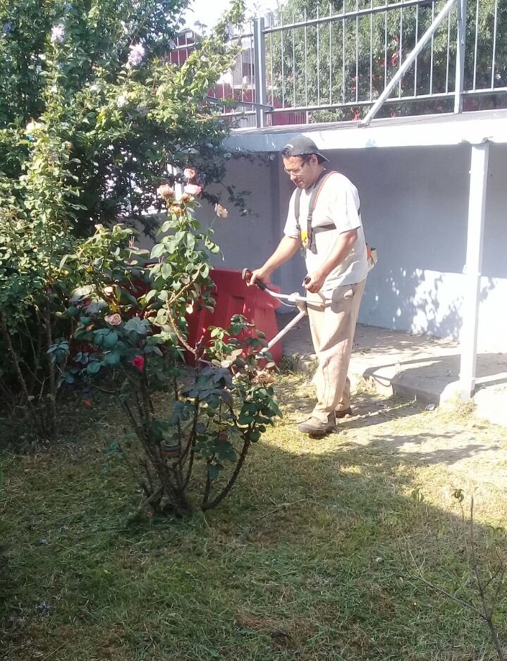 vivi_torcuato's tweet photo. APOYO A INSTITUCIONES |  Continuamos colaborando con el mantenimiento de los espacios verdes  de nuestros establecimientos educativos #EP38. Consultas al 4513-2524/2821. https://t.co/ia3Q8GeO2F