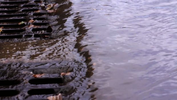 Prof. Dr. Mikdat Kadıoğlu: “Elimizdeki sudan tasarruf etmek için önlemler almalıyız. Onu da hemen şimdi yapmalıyız”
#DünyaSulakAlanlarGünü 
<a href="/Mikdatca/">Mikdat Kadıoğlu</a> 
kuzeyormanlari.org/2018/02/01/pro…