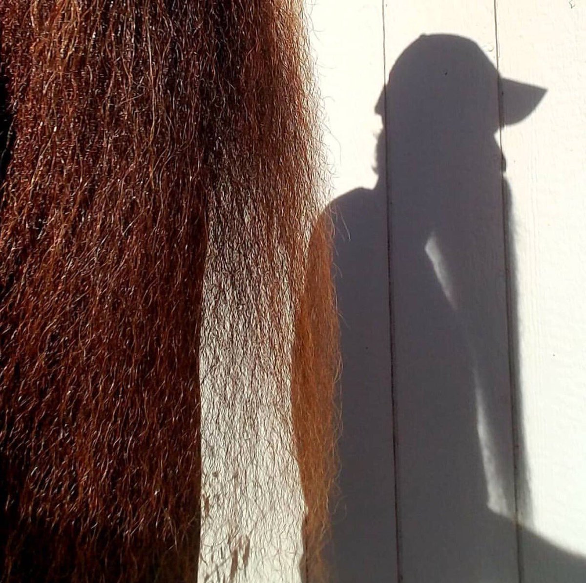 MEAN_BEARD's tweet photo. Looks like 6 more weeks of winter! 💨
#GroundhogDay #shadow
•
📸 @ Jamie Murphy 2017 MEANestBEARD Worldwide Champion
•
MEAN MEAN BEARD® It's not only the Beard, it's the Attitude™ 
#MEANBEARD #MEAN #StandwithPurpose #GrowaMEANbeard #inspiringgreatness #MEANBeardsMen #getMEAN https://t.co/oDQ0MXl1ro
