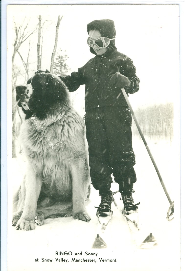 Here in Vermont, we make our winters fun for the whole family! #DogDaysNoMore
Check out our website: goo.gl/HzNusV