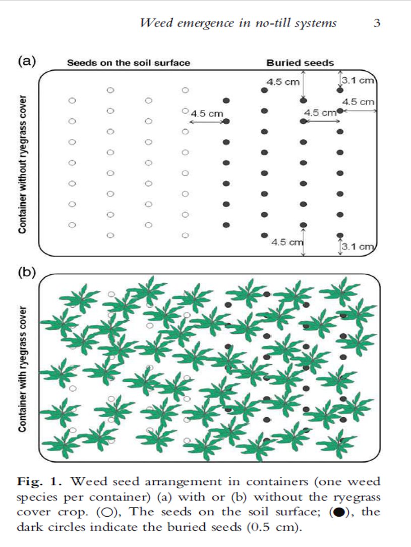 scordeau_inra's tweet photo. #Notill = weed seed on the soil surface
#covercrop = shade
#summer = temporary drought
New paper from @UMRAgroecologie @InraEA showing a decrease in weed seed ermergence and early growth when seeds are on the soil surface #A2C #SCV
https://t.co/vp7xllxIcm
https://t.co/0UnI4tMH9C https://t.co/yGwuLYf72v