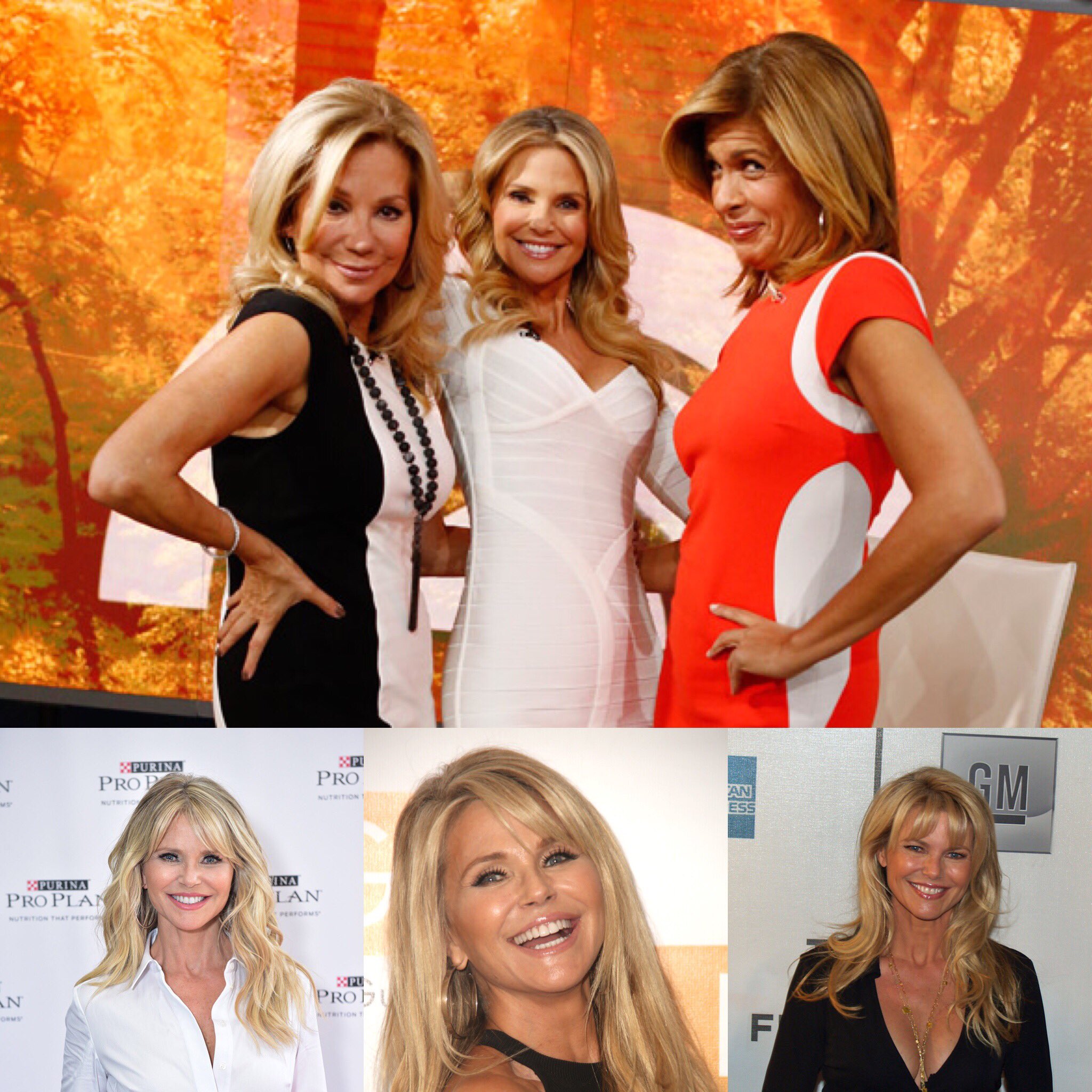 Happy 64 birthday to Christie Brinkley . Hope that she has a wonderful birthday.     