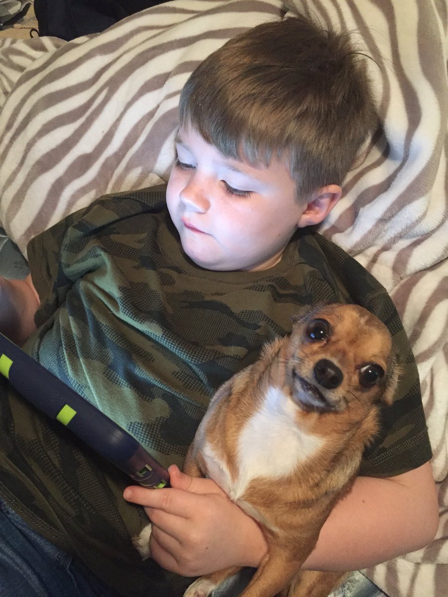 katrinamcneely's tweet photo. #snowday ❤️ https://t.co/0s7qqxLMQq