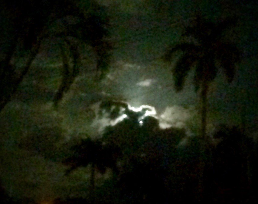 alienbeagle's tweet photo. While everyone else shows off their pix of the #SuperBlueBloodMoon , I caught the Evil Moon Bunny. Obviously here for the #BloodMoon Eat your heart out...before he does! #alienbeagle https://t.co/EUdY6iTmt7