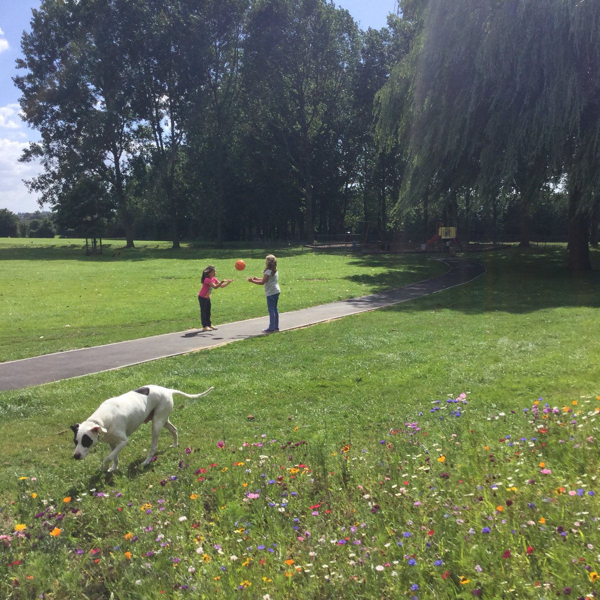 ReesonGeoff's tweet photo. New path to play area used everyday @Dundridge Park Bristol many thanks #bagsofhelpfunding
@Tesco_SouthWest @groundworkuk
https://t.co/66L4VBzCGv https://t.co/M81elV2VwP